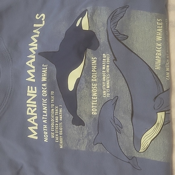 4T Tshirt Lot (Carters, Oshkosh, Children's Place) - Picture 2 of 4